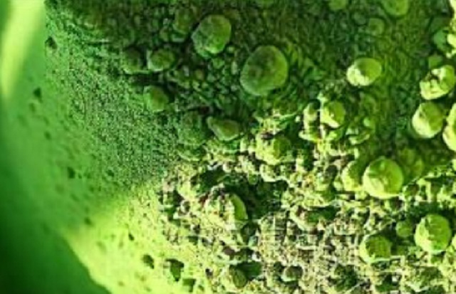 Kratom